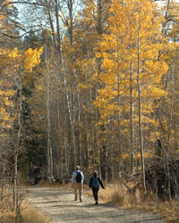 hiking